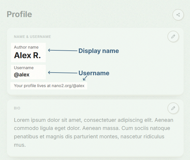 Screenshot of the NaNo 2.0 tracker profile page, with the username and display name highlighted